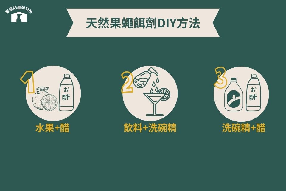 天然果蠅餌劑DIY方法