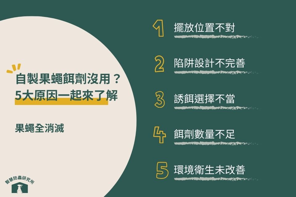 自製果蠅餌劑沒用的5大原因